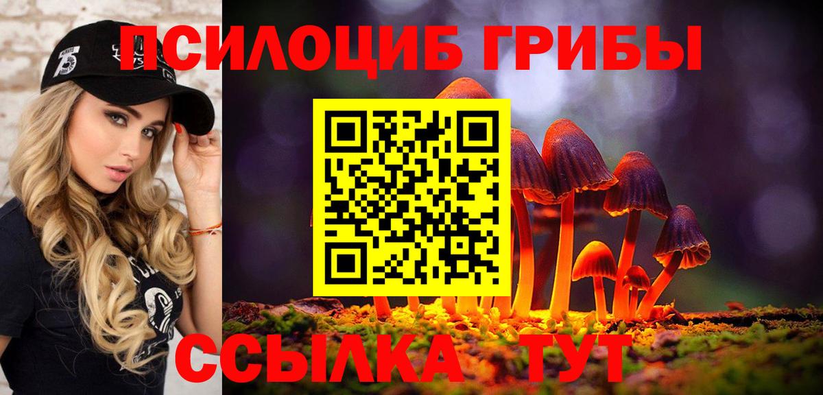 Псилоцибиновые грибы GOLDEN TEACHER Северск